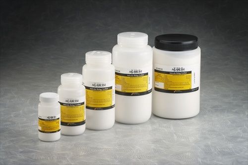 New 50g Agarose bottle Electrophoresis