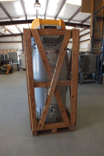 A.O. Smith Cyclone Xi BTH-250A 250,000 BTU 100 Gal Water Heater in Natural Gas