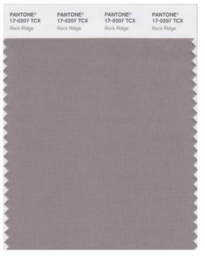 PANTONE SMART 17-0207X Color Swatch Card, Rock Ridge