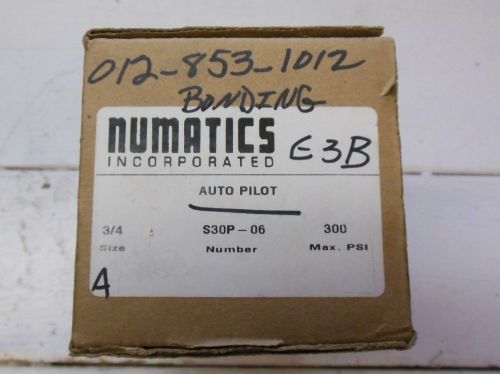 Numatics S30P-06 Slow Start Pneumatic Valve Auto Pilot 3/4 Inch S30P06 S30P