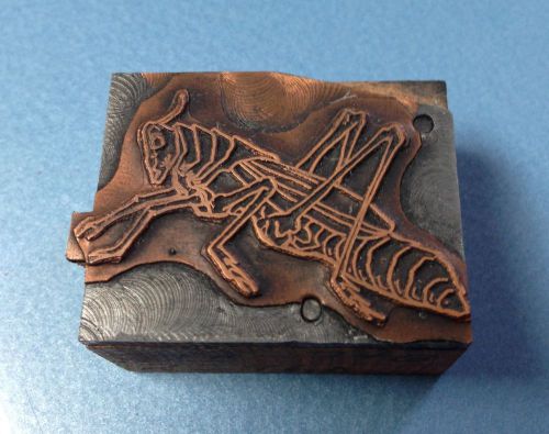 Vintage Letterpress Printing Block Grasshopper