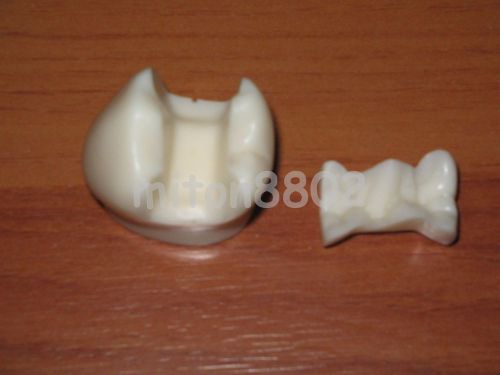 OVERLAY DENTAL INLAY ONLAY TYPODONT DEMOSTRATATION MACRO MODEL TEETH STUDY