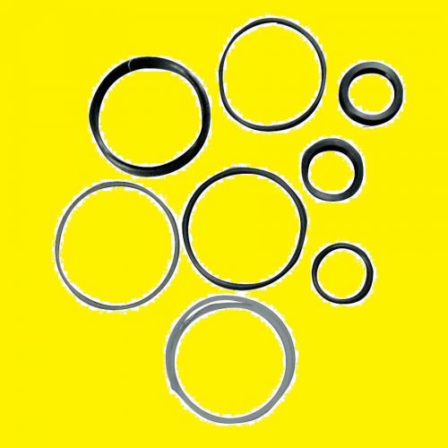 Massey Ferguson 1606890M91 Power Steering Cylinder Seal O-Ring Kit 245 261 285