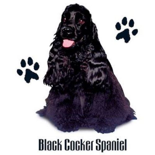 Black cocker spaniel dog heat press transfer print for t shirt sweatshirt #829c for sale