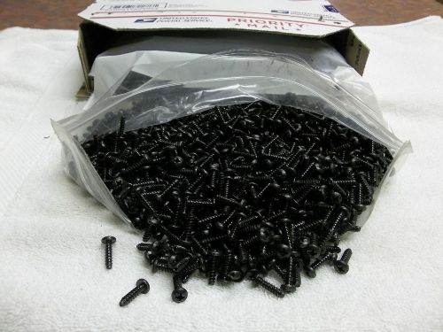 # 6 x 1/2 Phillips Head  Screws Black Oxide Plated- 3200 pcs. Pan Head