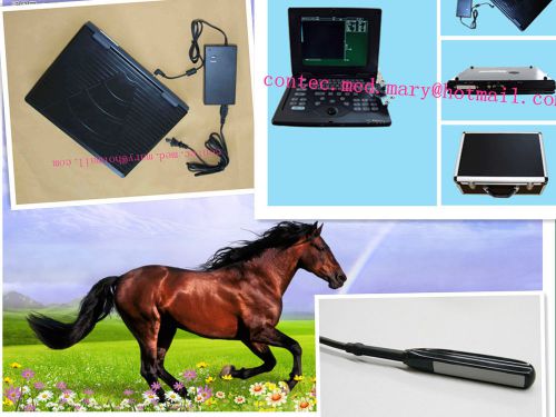 CMS600P Veterinary Portable Laptop Ultrasound scanner 6.5M Rectal probe For VET