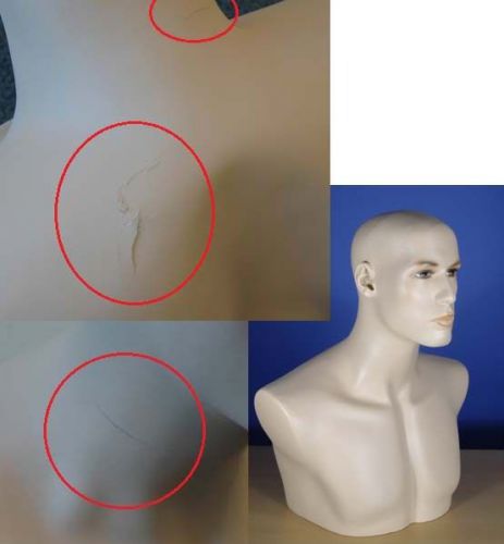 Damaged 20&#034; Flesh Tone Head &amp; Chest Male Mannequin 201N