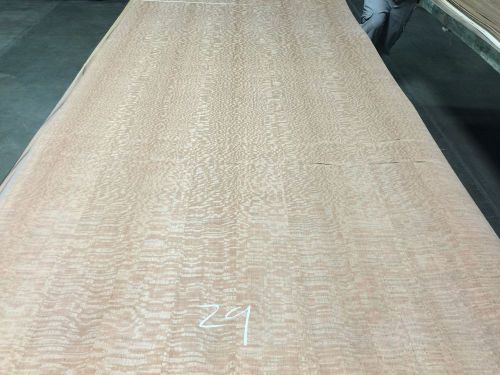 Wood Veneer Lacewood 48x89 1pc total Wood Backed  &#034;EXOTIC&#034; TNA 29