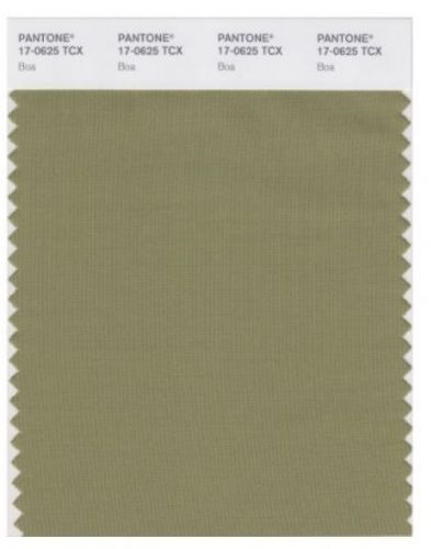 PANTONE SMART 17-0625X Color Swatch Card, Boa