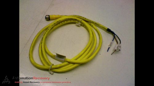 TURCK RKC 4.4T-2 4-POLE PVC 2 METER FEMALE CORDSET, NEW*