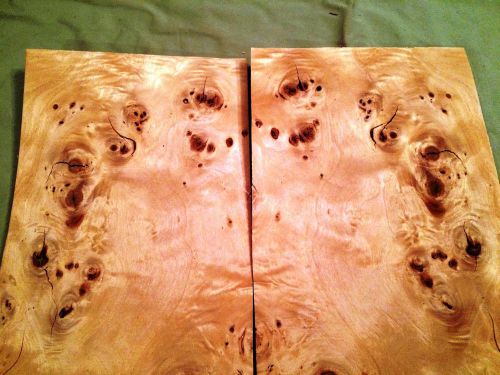 12 leafs of mappa burl @ 16.5 x 6.75 wood veneer  #v1625 for sale