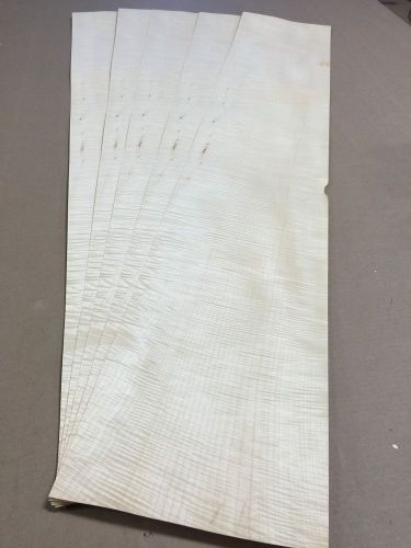 Wood Veneer Curly Maple 9x48 8pcs total Raw Veneer  &#034;EXOTIC&#034; CM8 12-31