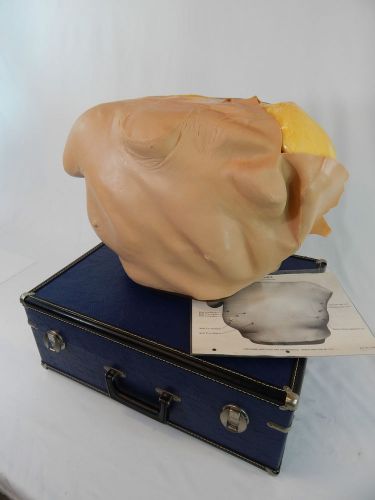 NASCO TRAINEX MEDICAL EMT BREAST EXAMINER TRAINING MANIKIN LF942 WITH CASE