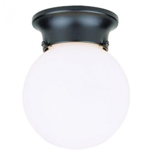 Porch Light Westinghouse Pendant 66840 030721668401