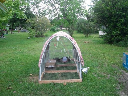 Simple and inexpensive mobile chicken coop plans to build for 50.00 or less