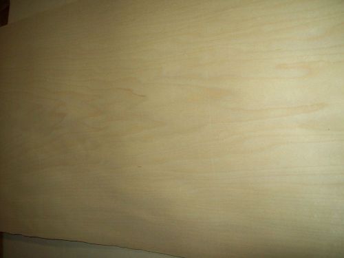 plain maple veneer 10  @ 16 x 49 [6366