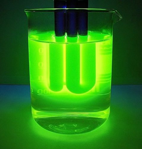 Fluorescein (sodium salt)  100g