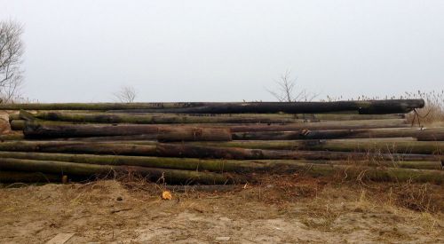 Utility Pole, Telephone Pole, Piling, Marine, Highway