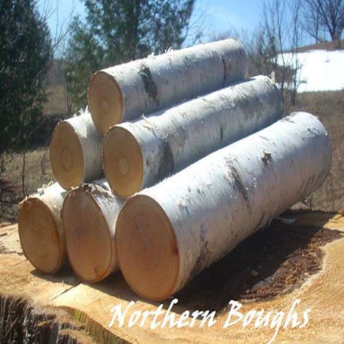 12-16&#034; Birch Logs