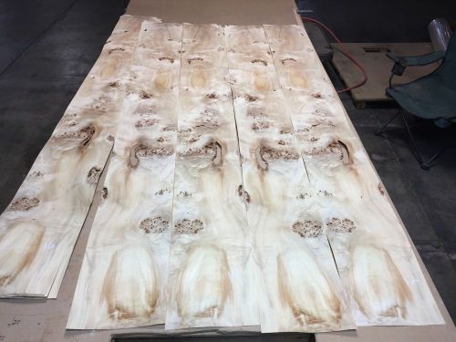 Wood Veneer Mappa Burl 9x84 12 Pieces Total Raw Veneer &#034;EXOTIC&#034;MAP4 2-11-15