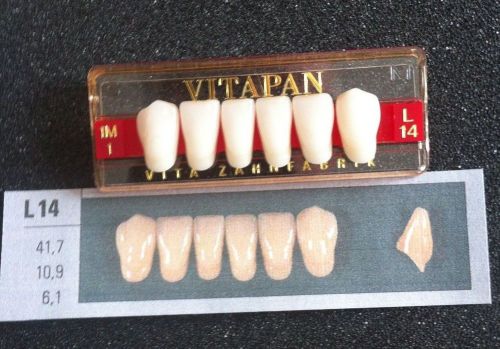 Vitapan Denture Teeth   L14    1M1