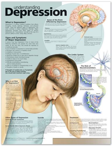 UNDERSTANDING DEPRESSION, LAMINATED ANATOMICAL CHART, 20 X 26