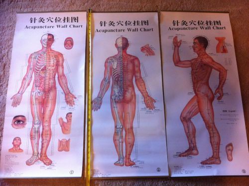 Chiropractic and Acupuncture Posters, plus Videos