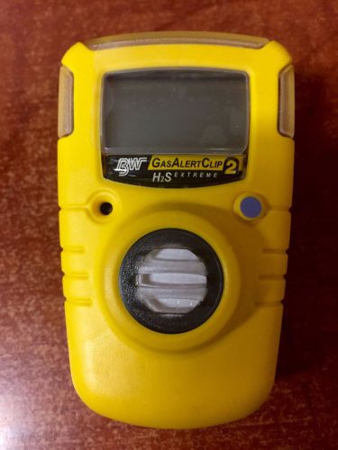 BW H2s Monitor