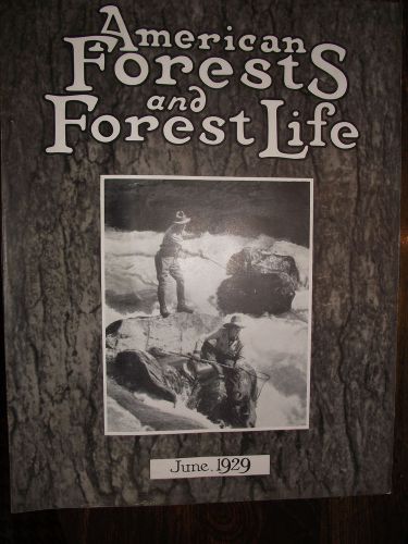 1929 june ~ american forest magazine ~ american foresty association ~ very nice for sale