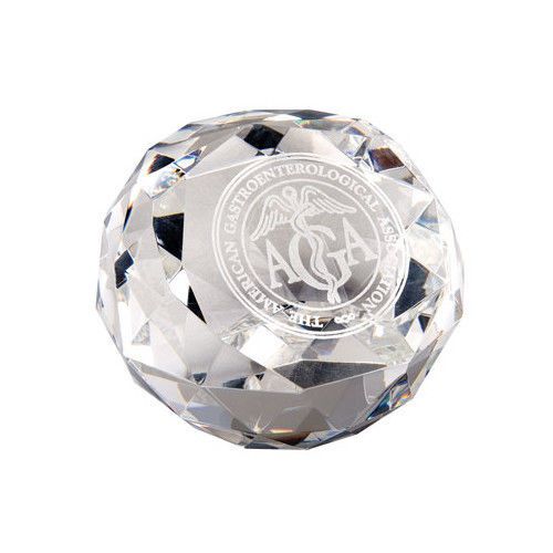 Chass Diamond Cut Glass Award Paperweight