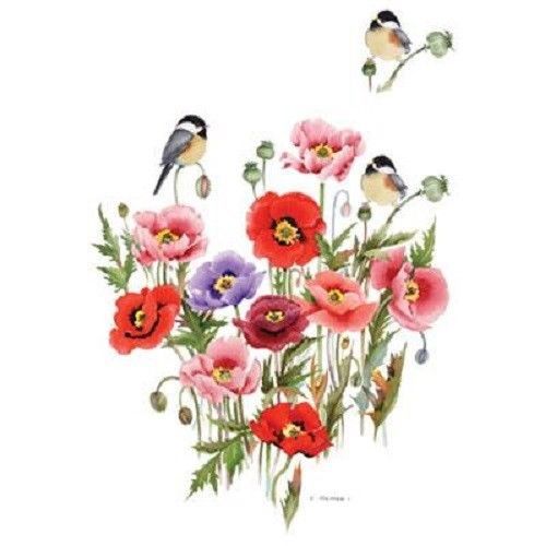 Chickadee Poppy Bird HEAT PRESS TRANSFER PRINT for T Shirt Tote Sweatshirt 217a