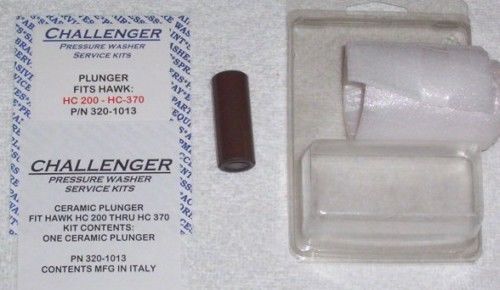 CHALLENGER 320-1013 PLUNGER, Fits HAWK HC200 &amp; HC370