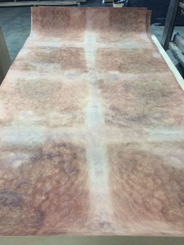 Wood veneer pellin burl 48x98 1pcs total 3-ply wood backed &#034;exotic&#034; 0913.2 for sale