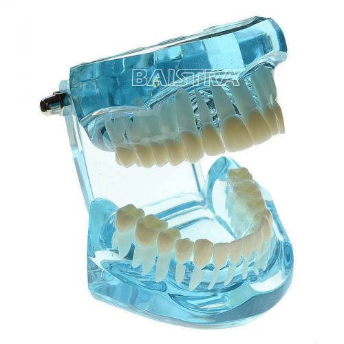 1 pc dental dentist teeth tooth transparent standard model #7001 for sale