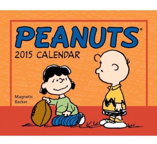 2015 PAGE A DAY MINI DESK CALENDAR - PEANUTS