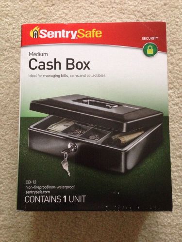 Sentry Safe Cash Box Medium