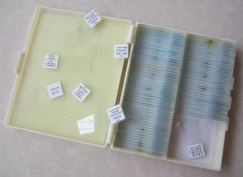 Educational lab glass prepared bio-microscope slides specimen for students 91pcs for sale