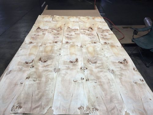 Wood veneer mappa burl 10x84 8 pieces total raw veneer &#034;exotic&#034;map3 2-11-15 for sale