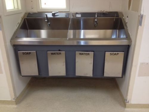 Amsco Futurehealth Fleximatic Dual Bay Scrub Sink Complete As Is Working