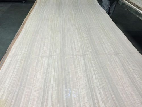 Wood Veneer Beeswing Eucalyptus 47x92 1pc total Wood Backed  &#034;EXOTIC&#034; TNA 26