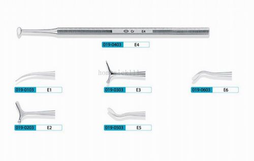 5PCS  KangQiao New Dental Instrumnet Burnishers E1