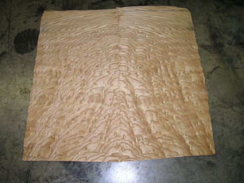 Tamo Ash Veneer. 14.5 x 28, 12 Sheets.