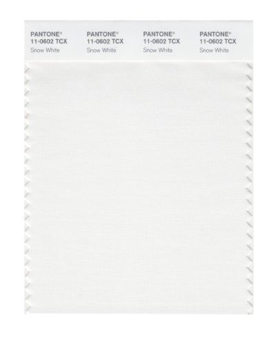 Pantone PANTONE SMART 11-0602X Color Swatch Card, Snow White