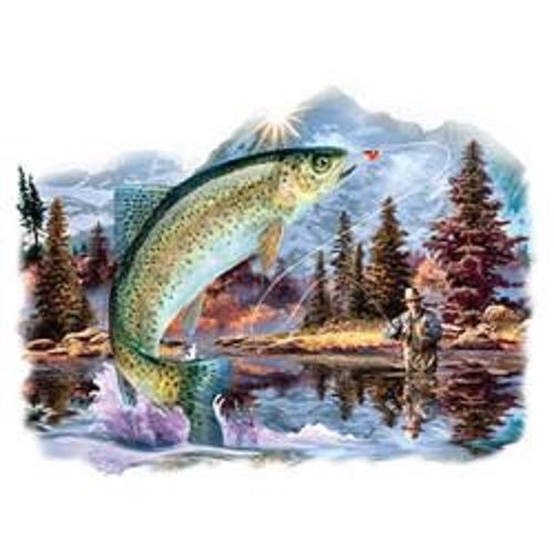 Rainbow Trout Air HEAT PRESS TRANSFER for T Shirt Tote Sweatshirt Fabric 249g