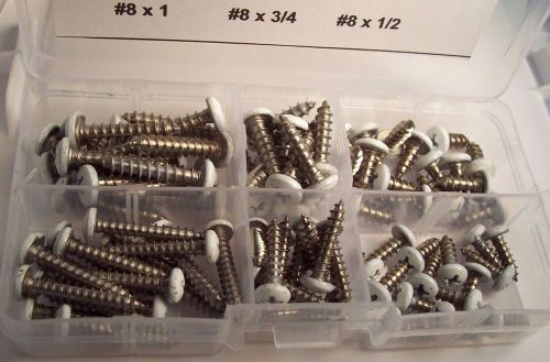 SS 18-8 Phillips Painted Pan Head Sheet Metal Screw (White)