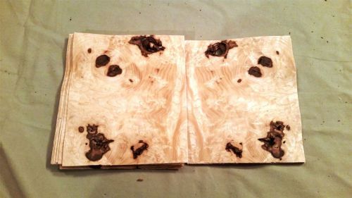 15 Bookmatched leafs Olive Ash Burl @ 5.75 x 5 Craft wood Veneer (v1621)