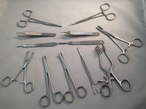 Surgical Instrument Set, twelve (12) stainless steel instruments