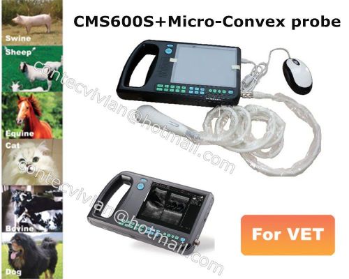 Veterinary Portable laptop Palm ultrasound scanner Digital Micro-Convex/cardiac