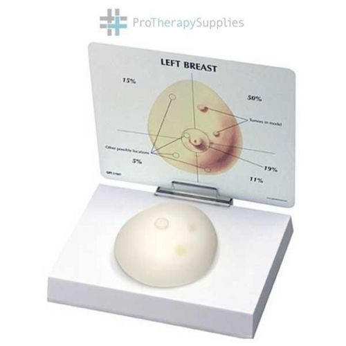 Anatomical Chart Company Breast Cancer Full-size Model