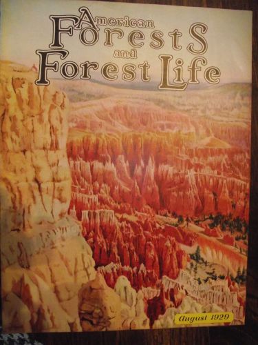 1929 aug ~ american forest magazine ~ american foresty association ~ very nice for sale